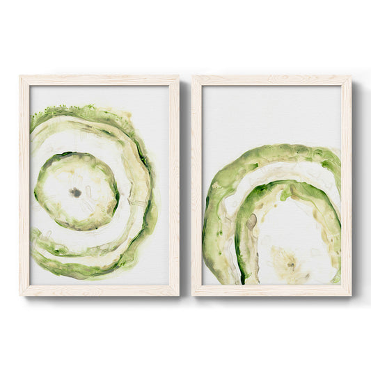 Lichen Halo III - Barnwood Framed Canvas Set