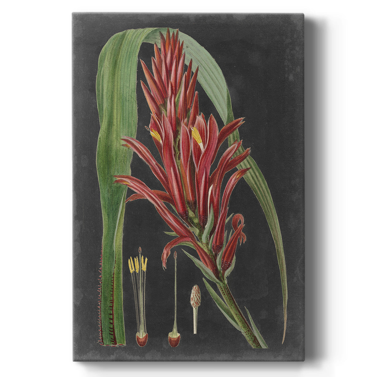 Dramatic Tropicals II Premium Gallery Wrapped Canvas - Ready to Hang