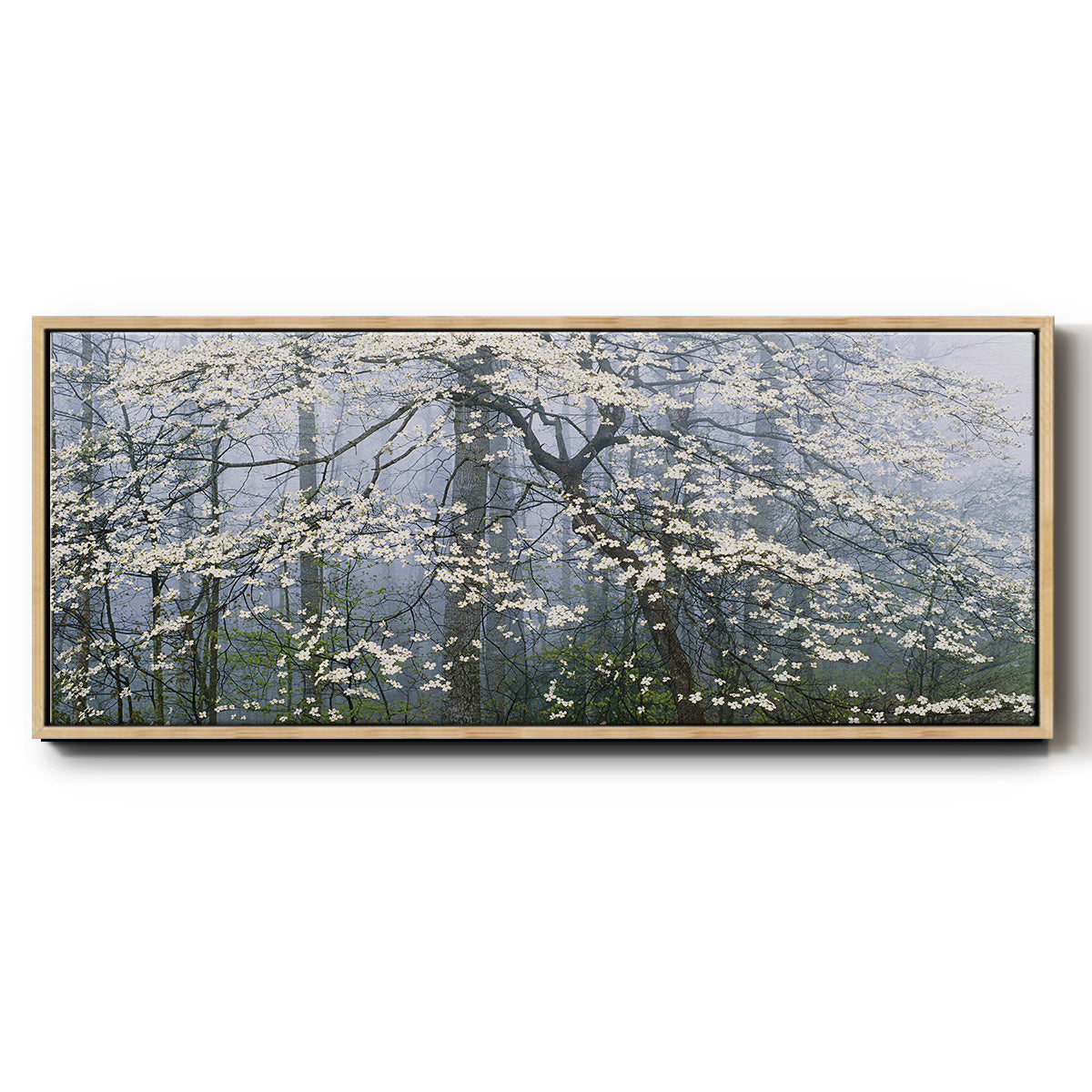 Dogwood Canopy - Floater Framed Canvas Print