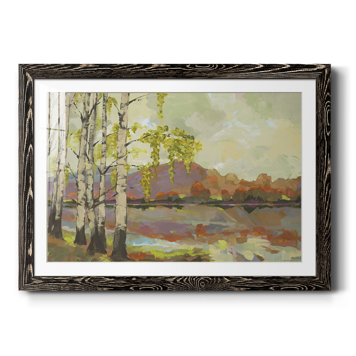 Birch Stand - Barnwood Framed Art Print