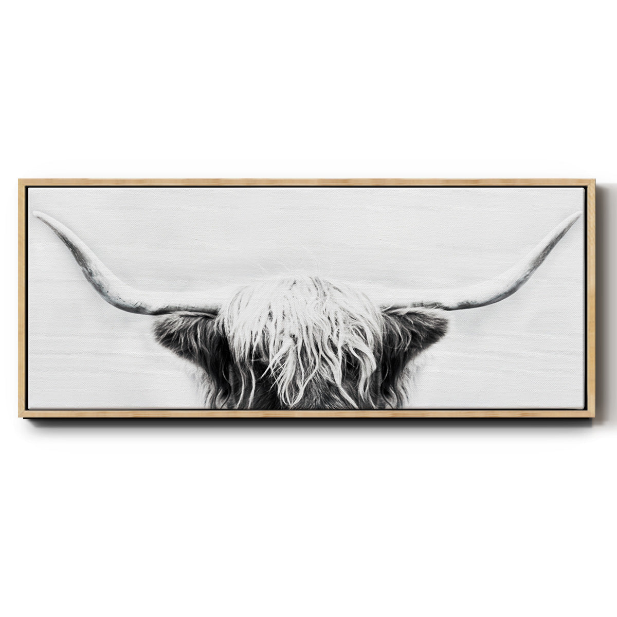 Longhorn - Floater Framed Canvas Print