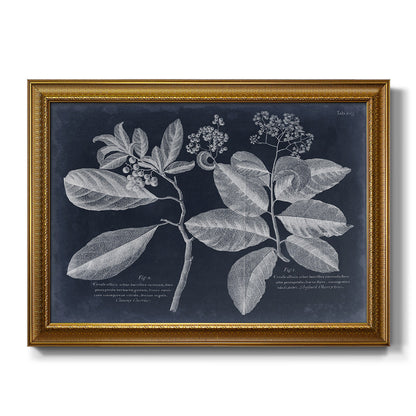 Foliage on Navy IV Premium Framed Canvas- Ready to Hang