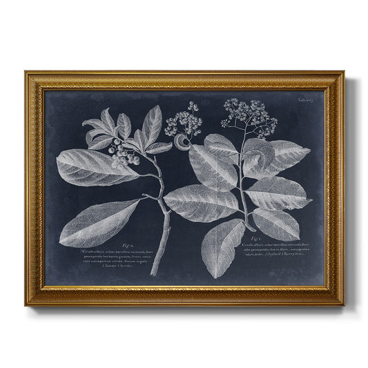 Foliage on Navy IV - Ornate Framed Canvas Print