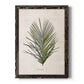 Palm Botanical I - Premium Canvas Framed in Barnwood - Ready to Hang