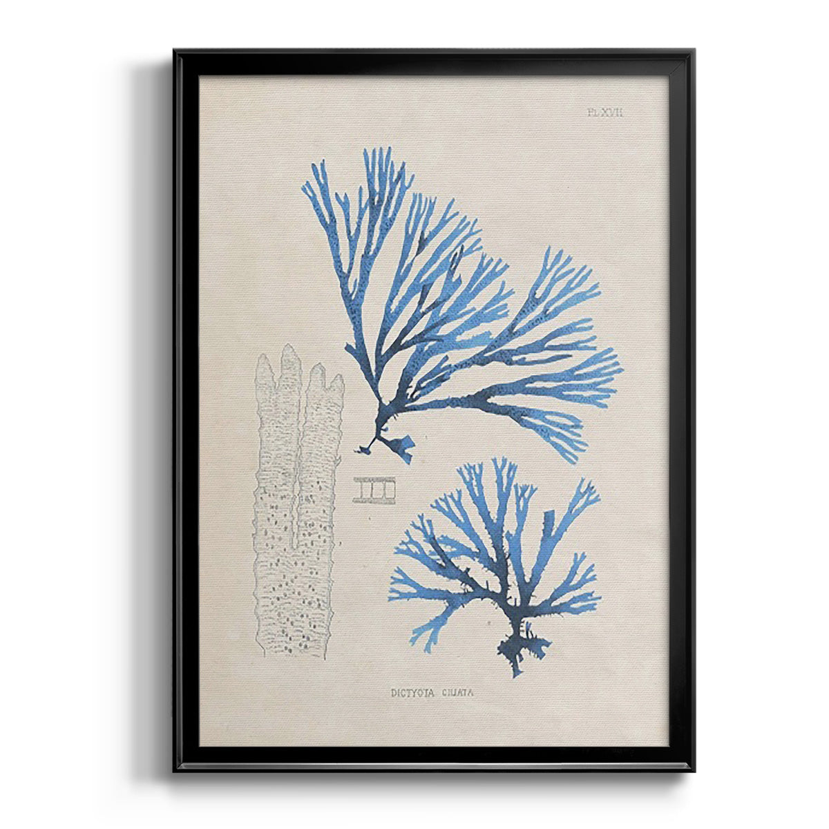 Blue Marine Algae V - Modern Framed Canvas Print