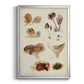 Mushroom Species III - Modern Framed Canvas Print