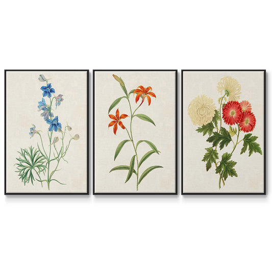 Flowers of the Seasons I - Floater Framed Canvas Set