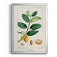 Turpin Tropical Botanicals V - Modern Framed Canvas Print