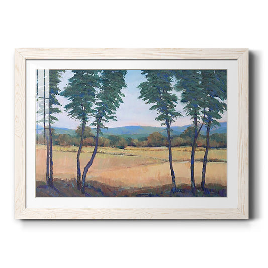 Still Morning II - Barnwood Framed Art Print