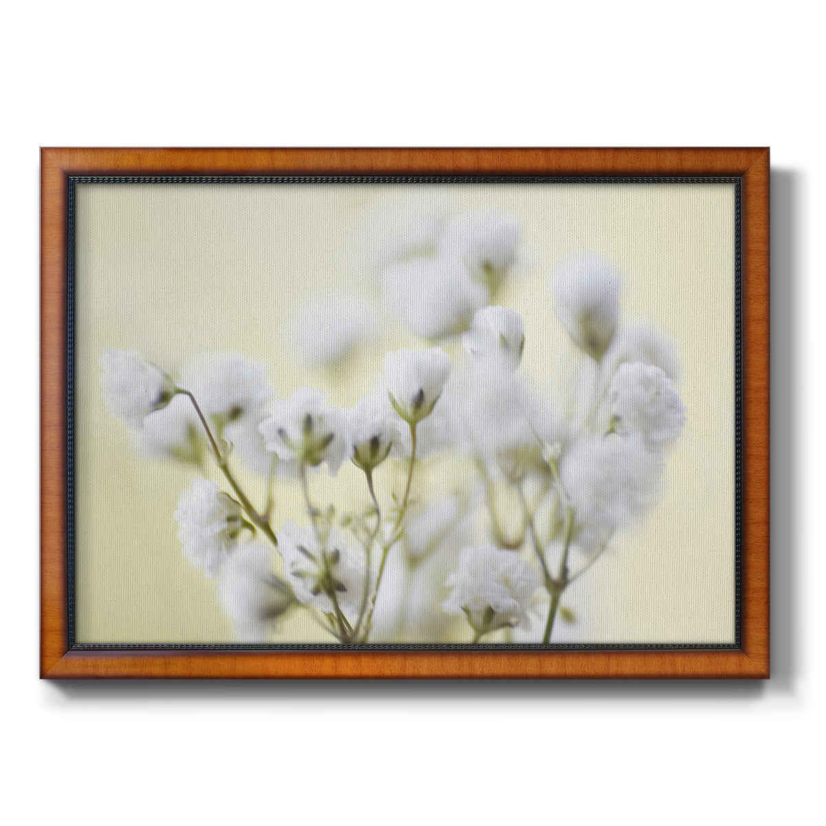 Baby's Breath Study IV Premium Framed Canvas- Ready to Hang