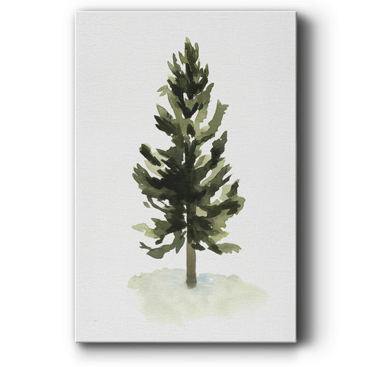 Watercolor Pine I - Canvas Art Print