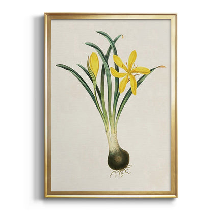 Flowers of the Seasons VI - Modern Framed Canvas Print