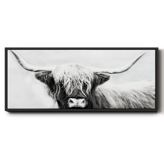 Highland Longhorn - Floater Framed Canvas Print
