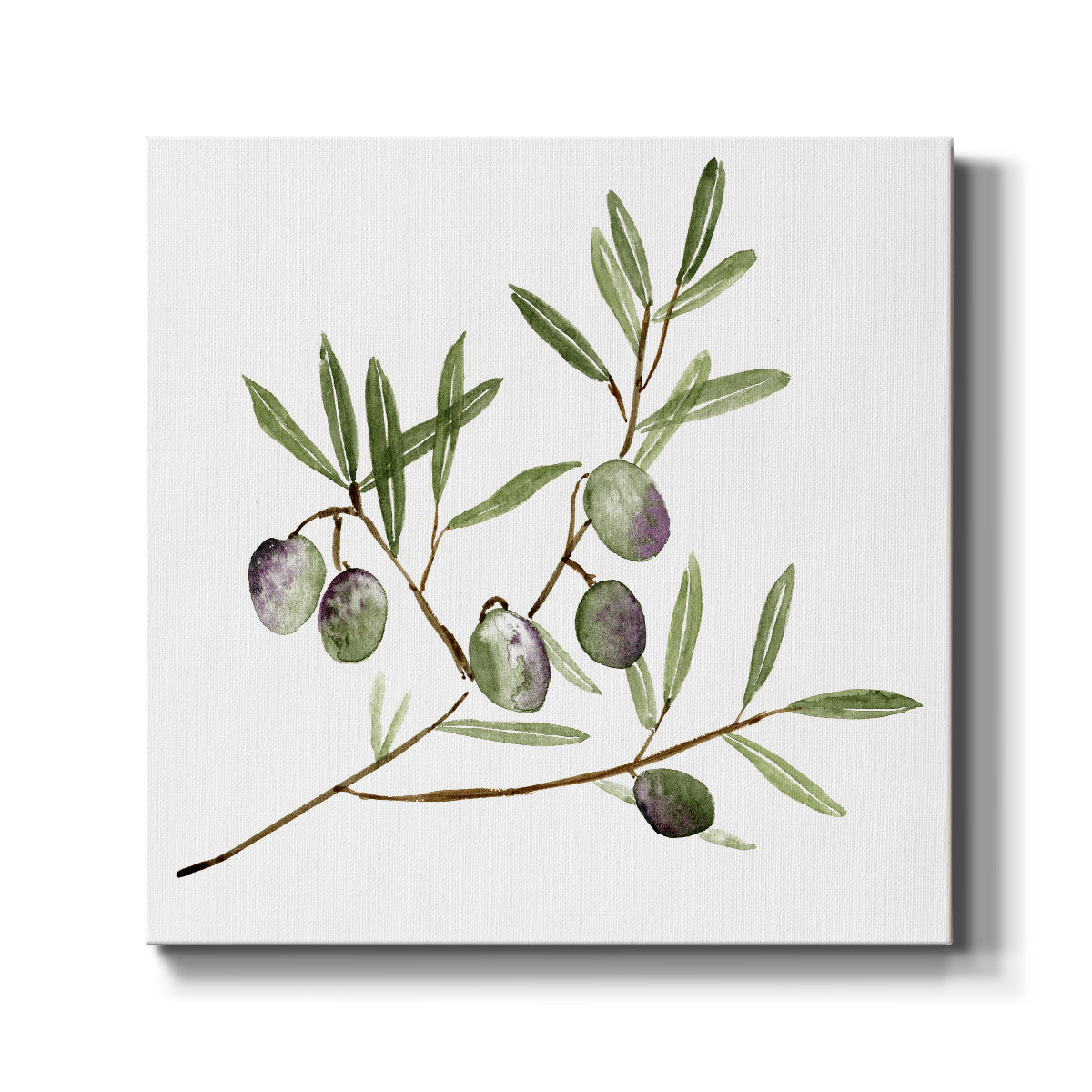 Olive Branch II - Canvas Art Print