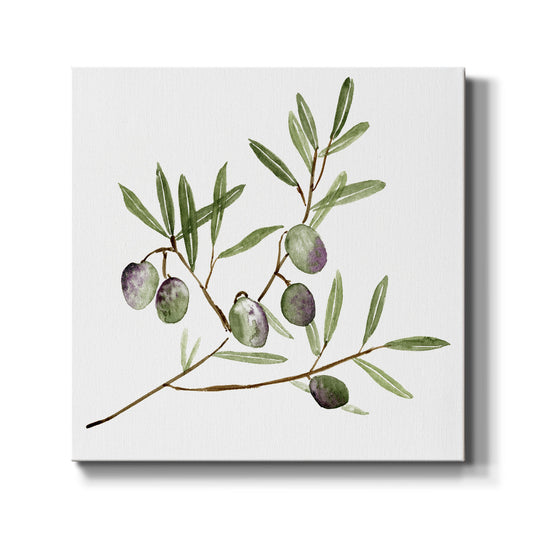Olive Branch II - Canvas Art Print