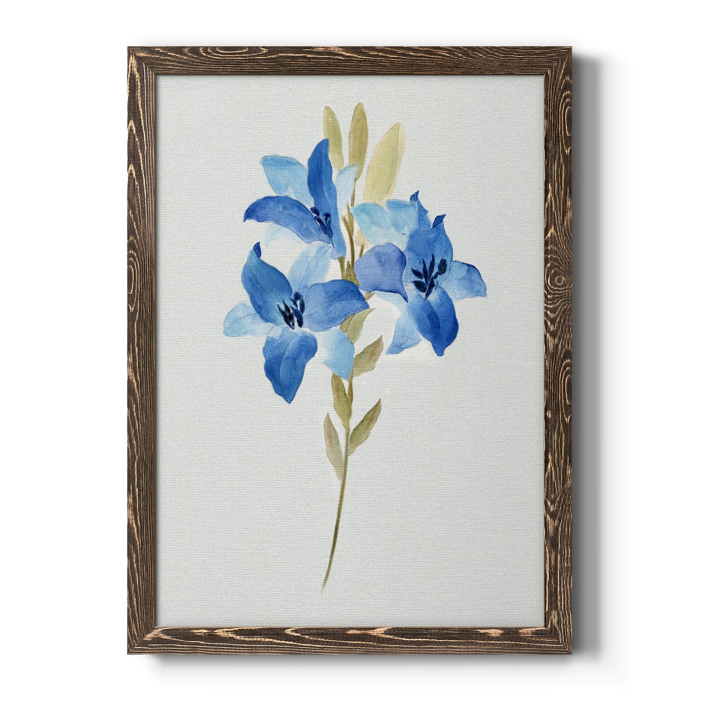 Blue Blossom Botanical III - Barnwood Framed Canvas Print
