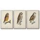 French Owls I - Framed Premium Gallery Wrapped Canvas L Frame 3 Piece Set - Ready to Hang