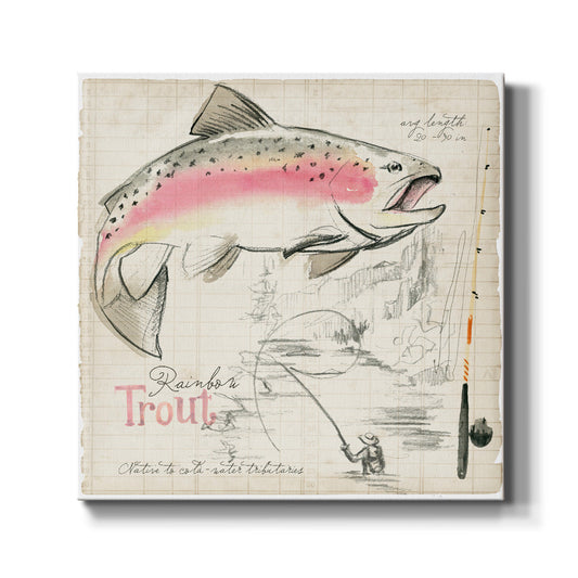 Trout Journal I - Canvas Art Print