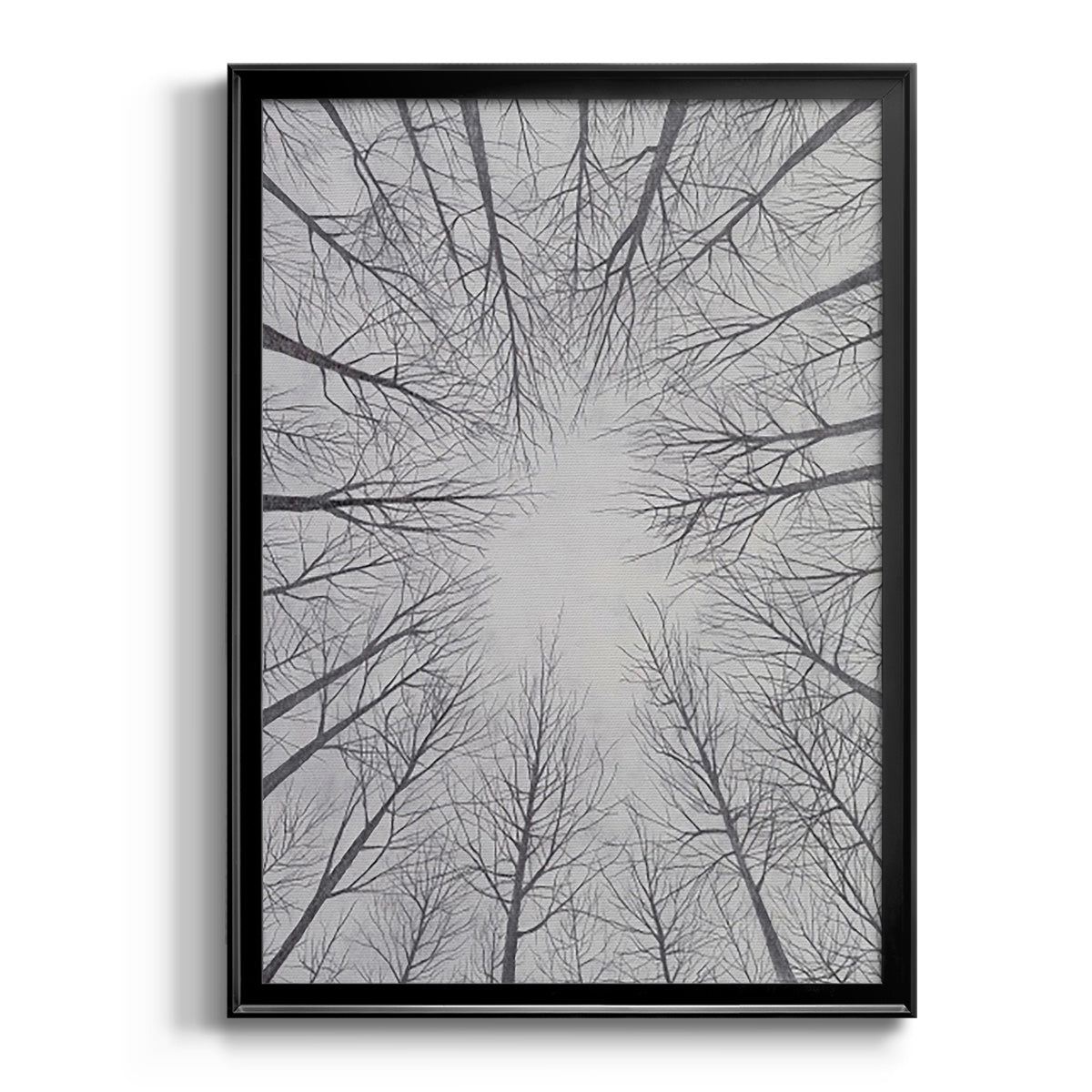 Deciduous Canopy II - Modern Framed Canvas Print