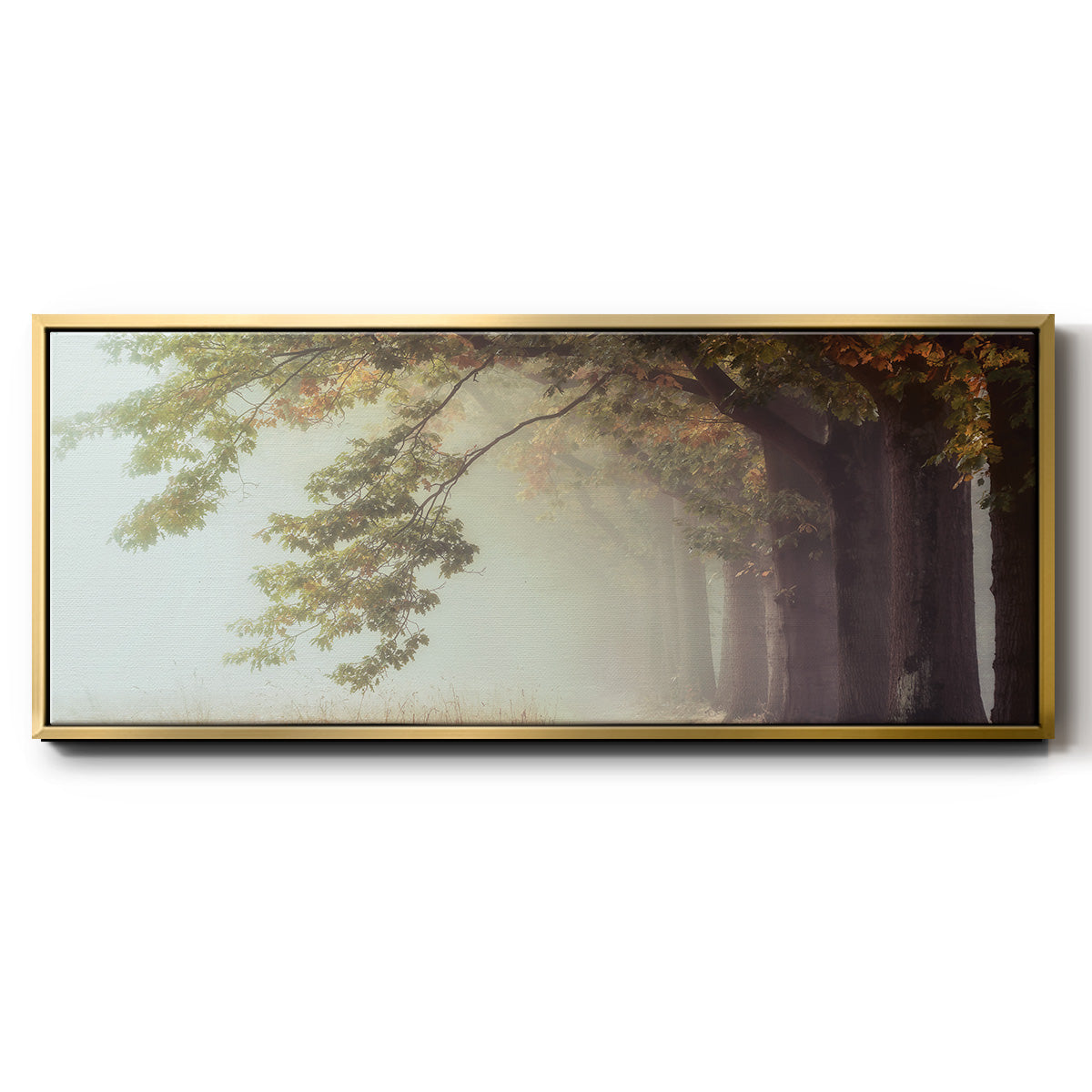 Dawnscratchers - Floater Framed Canvas Print