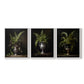 Floral Study Series LXXI - Restickable Framed Art Set