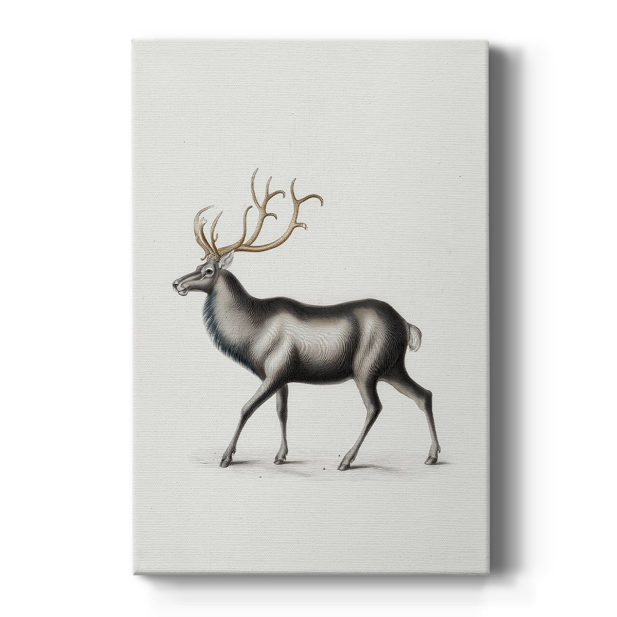 Pearled Chapel Carol - Canvas Art Print