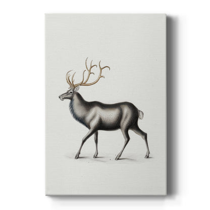 Pearled Chapel Carol - Canvas Art Print