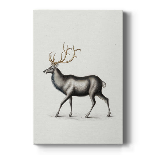Pearled Chapel Carol - Canvas Art Print