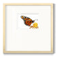 Wings I - Double Matboard Framed Print