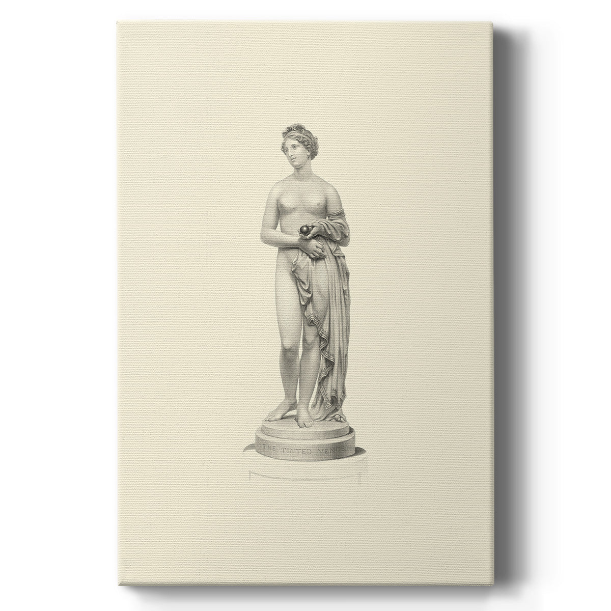 Classical Statuary I Premium Gallery Wrapped Canvas - Ready to Hang