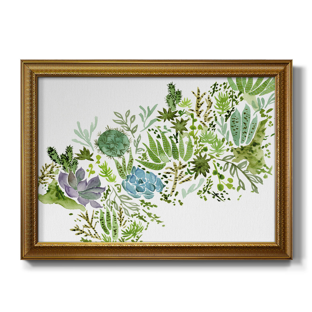 Succulent Field I Premium Framed Canvas- Ready to Hang