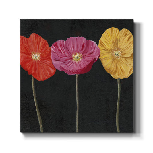Poppy Trio II - Canvas Art Print