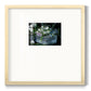 Wild Tulips - Double Matboard Framed Print