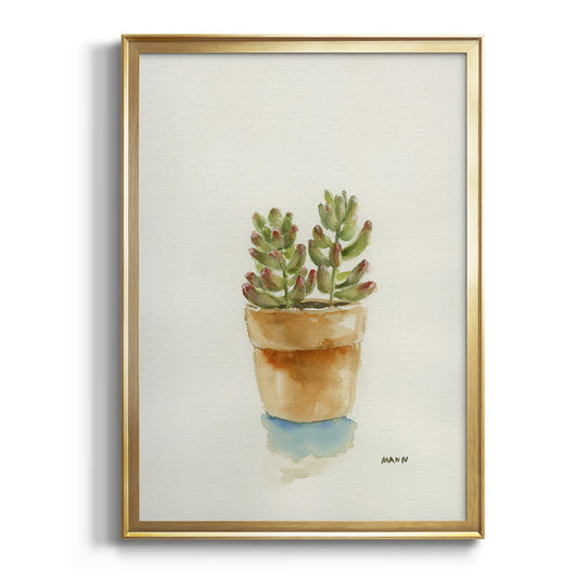 Succulent III - Modern Framed Canvas Print