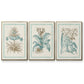 Willow Blue Besler I - Floater Framed Canvas Set