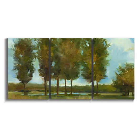 Three-panel canvas wall art featuring tall trees lining open landscape on white background.