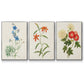 Flowers of the Seasons I - Floater Framed Canvas Set