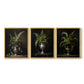 Floral Study Series LXXI - Restickable Framed Art Set