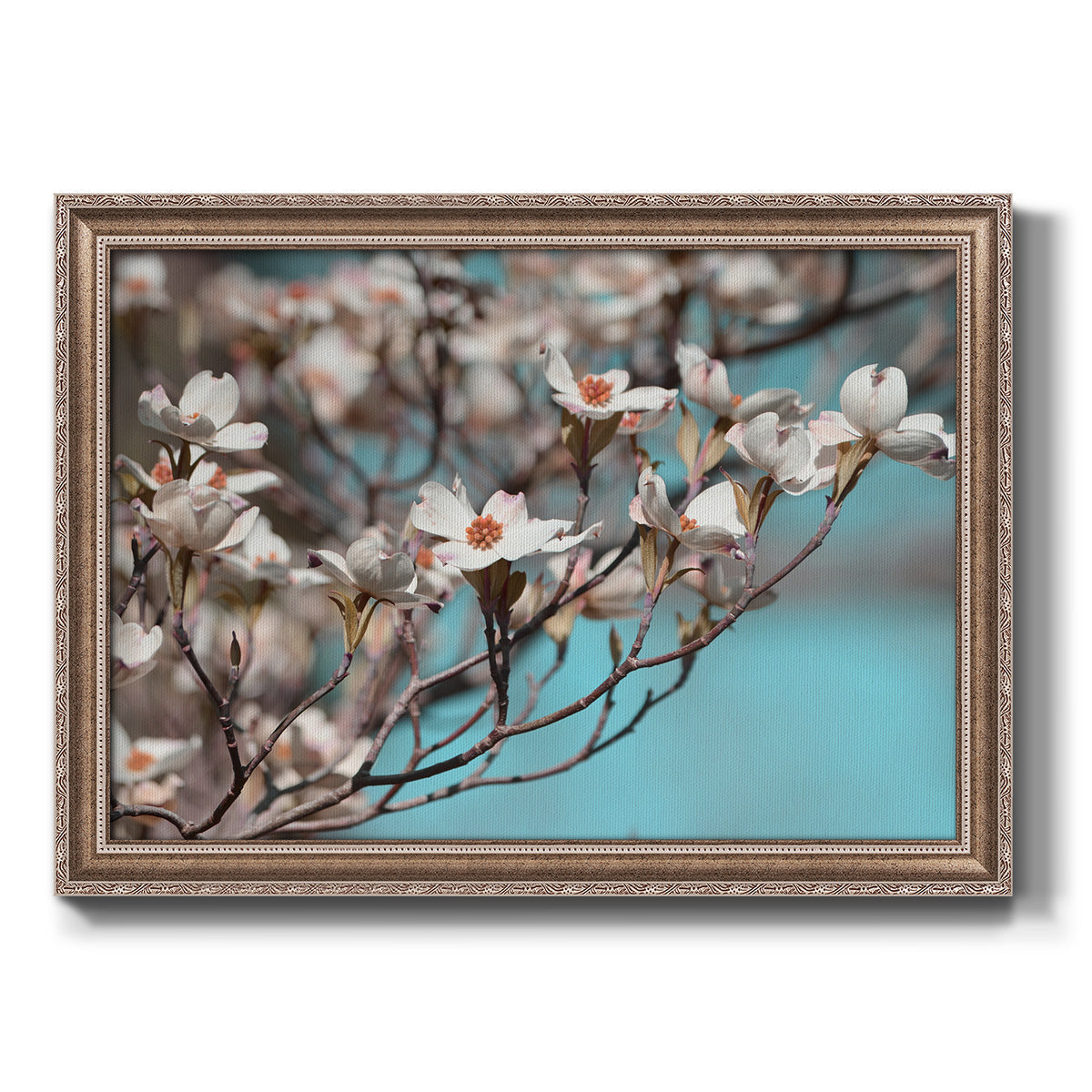 Dogwood Spring III Premium Framed Canvas- Ready to Hang