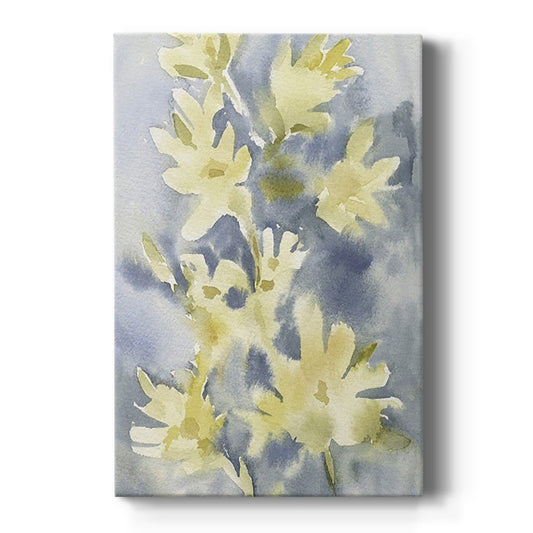 Forsythia Blooms I - Canvas Art Print