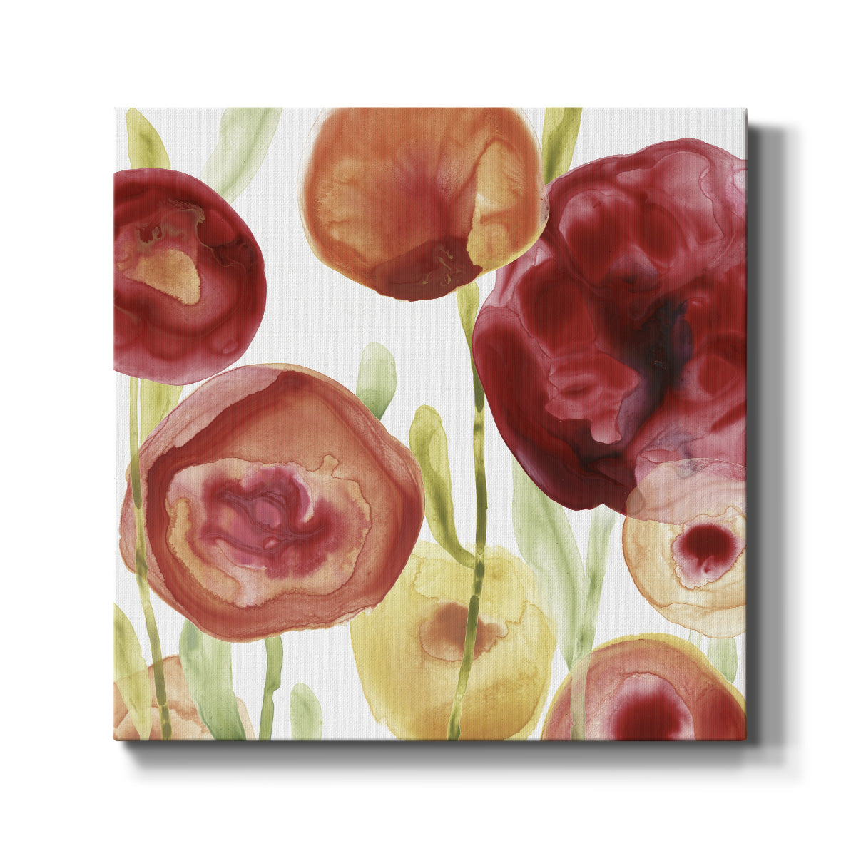 Poppy Patch IV - Canvas Art Print