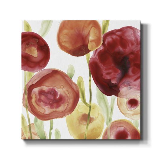 Poppy Patch IV - Canvas Art Print