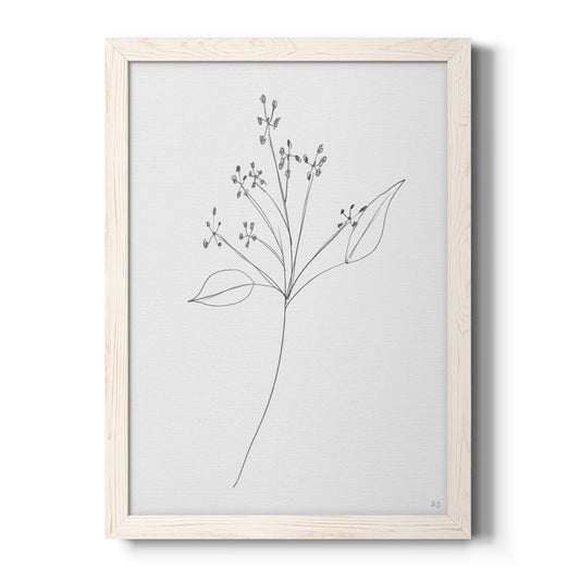 Botanical Gesture V - Barnwood Framed Canvas Print