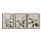 Floral Study Series LXXXVII - Restickable Framed Art Set