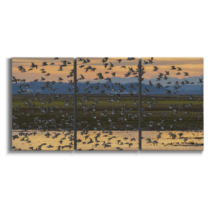 Three-panel canvas wall art featuring birds flying across sunset sky on white background.
