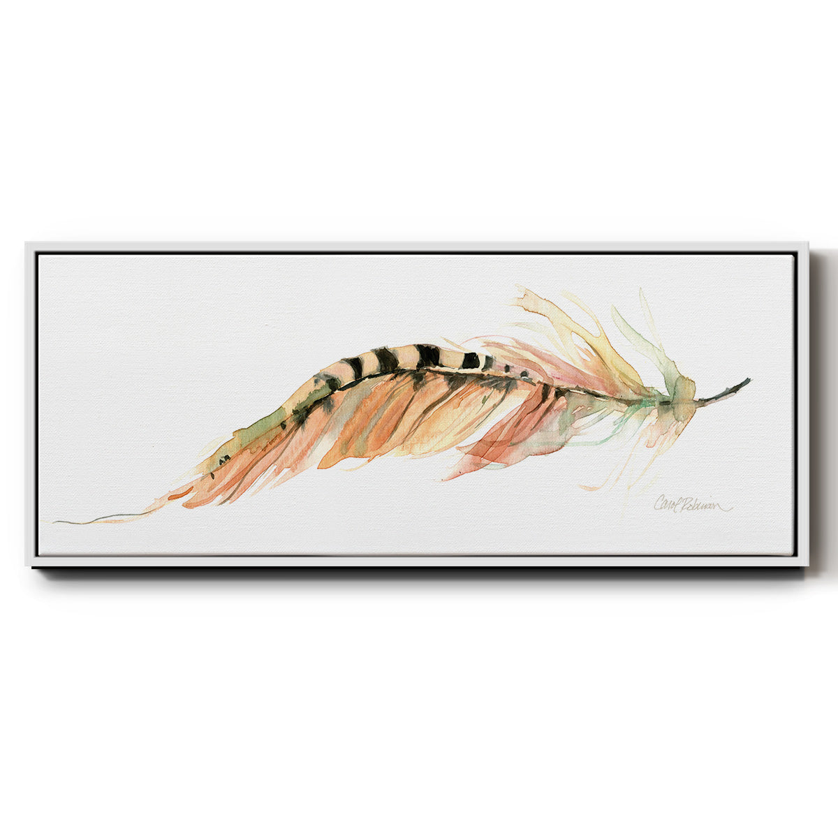 Tail Feather IV - Floater Framed Canvas Print