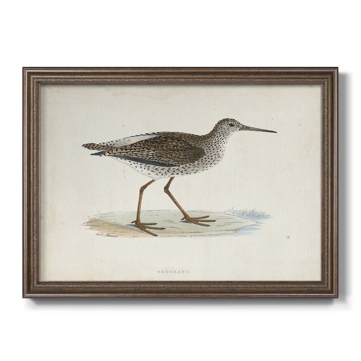 Morris Sandpipers V Premium Framed Canvas- Ready to Hang