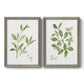 Herb Sage - Premium Framed Canvas 2 Piece Set - Ready to Hang