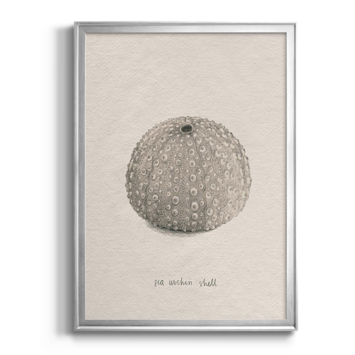 Shore Treasure Study I - Modern Framed Canvas Print