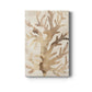 Parchment Coral III Premium Gallery Wrapped Canvas - Ready to Hang